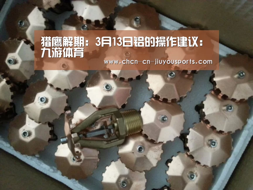 猎鹰解期:3月13日铝的操作建议:九游体育(图2) 九游体育