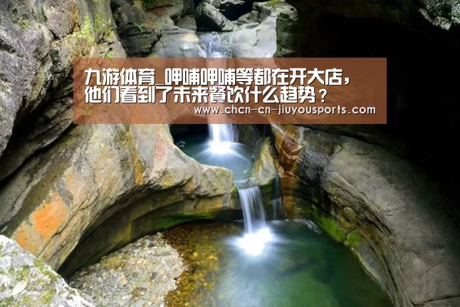九游体育