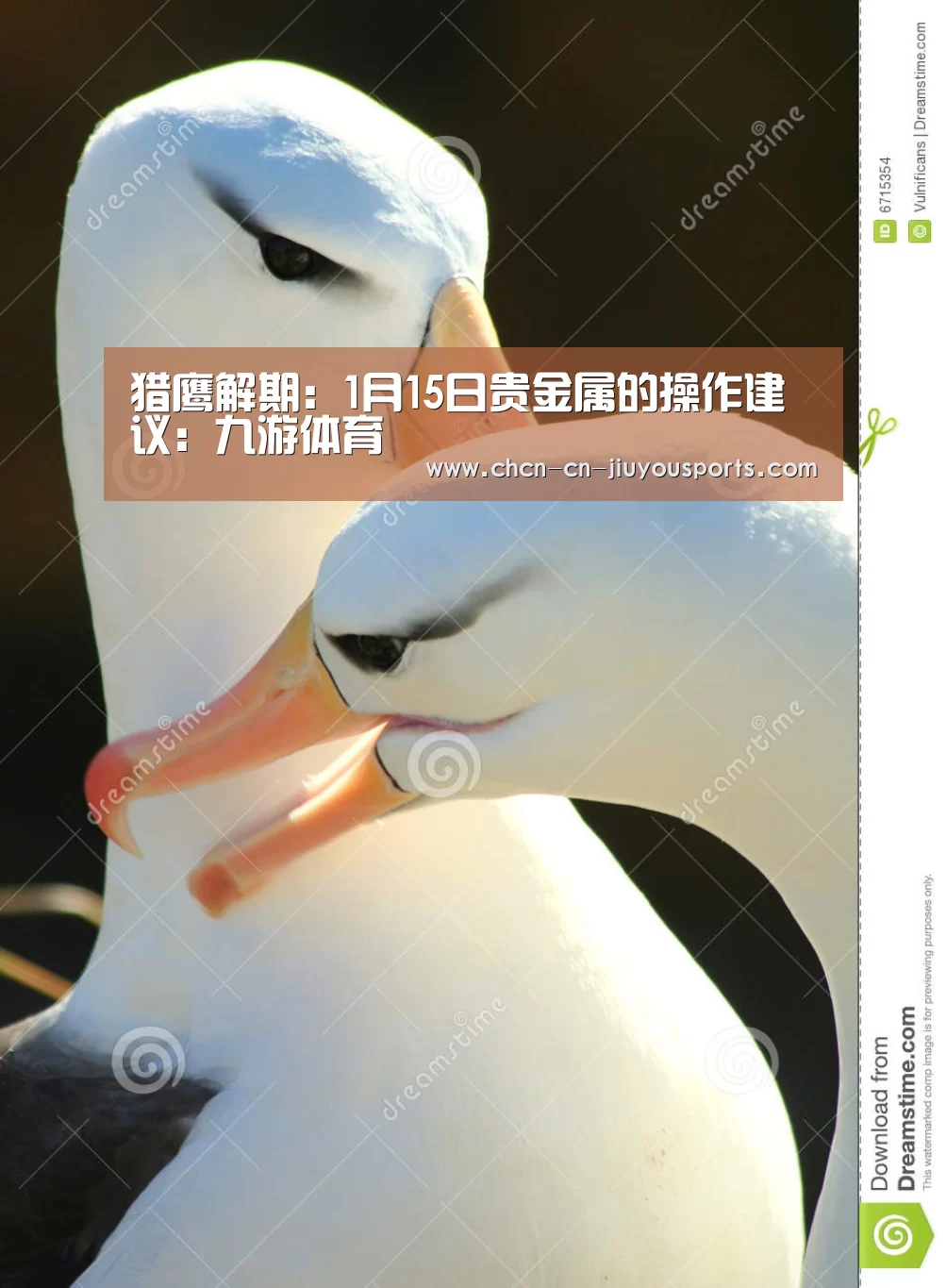 九游体育